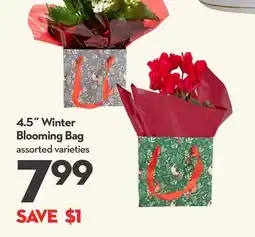 Longo's 4.5˝ Winter Blooming Bag offer