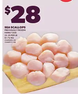 Loblaws SEA SCALLOPS, 25-35 PER LB offer