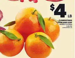 Loblaws CLEMENTINES STEM AND LEAF offer