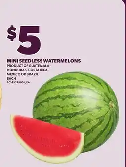 Loblaws MINI SEEDLESS WATERMELONS offer