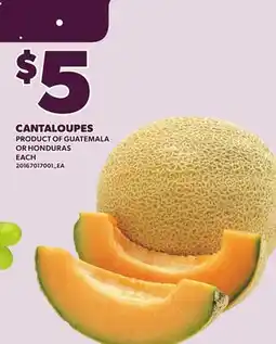 Loblaws CANTALOUPES offer
