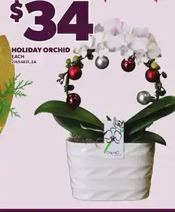 Loblaws HOLIDAY ORCHID offer
