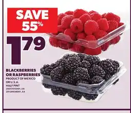 Loblaws BLACKBERRIES OR RASPBERRIES offer