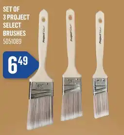 Canac Set of 3 Project Select Brushes Polyester Nylon offer