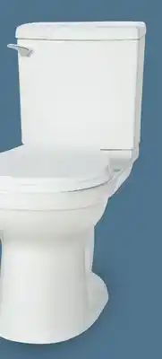 Canac Milano 2-Piece Single-Flush Toilet 4.8 L offer