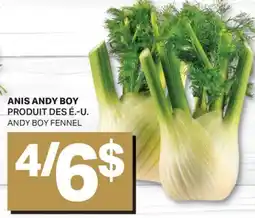 L'Intermarché ANIS | FENNEL offer