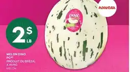 L'Intermarché MELON DINO | MELON offer