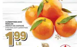L'Intermarché CLÉMENTINES AVEC FEUILLES | STEM AND LEAF CLEMENTINES offer