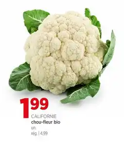 Avril chou-fleur bio offer