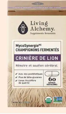 Avril crinière de lion offer