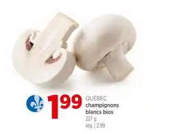 Avril champignons blancs bios offer