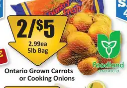Starsky Ontario Grown Carrots or Cooking Onions offer