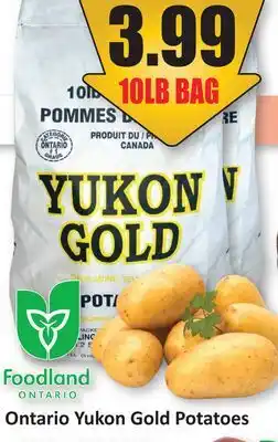 Starsky Ontario Yukon Gold Potatoes offer