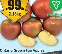 Starsky Ontario Grown Fuji Apples offer