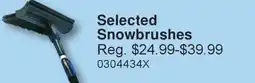 PartSource Selected Snowbrushes offer
