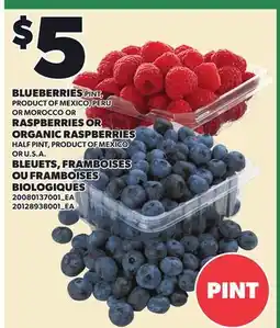 Independent City Market BLUEBERRIES PINT, RASPBERRIES OR ORGANIC RASPBERRIES, HALF PINT offer