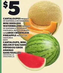 Independent City Market CANTALOUPES, MINI SEEDLESS WATERMELONS offer