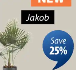 JYSK JAKOB Artificial potted plant offer