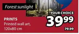 JYSK PRINTS Printed wall art offer