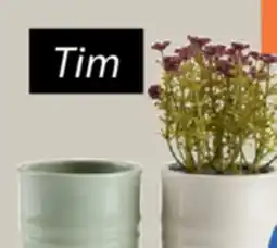 JYSK Tim Plant pot offer
