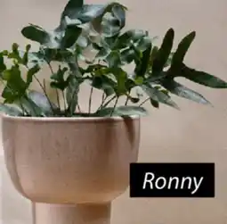 JYSK Ronny Plant pot offer