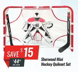 Hockey Life SHERWOOD MINI HOCKEY QUIKNET SET offer