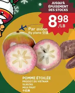 Kim Phat MILK FRUIT offer