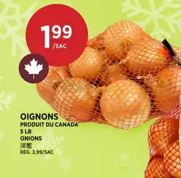 Kim Phat ONIONS offer