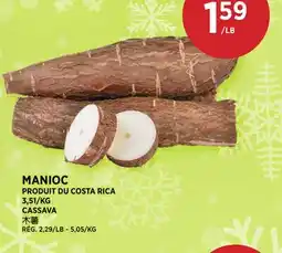 Kim Phat CASSAVA offer