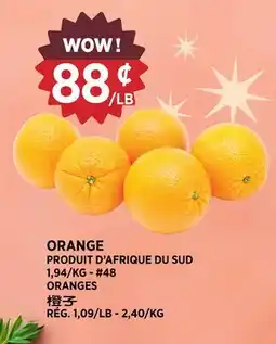 Kim Phat ORANGES offer