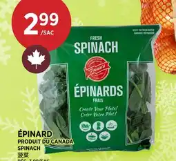 Kim Phat SPINACH offer