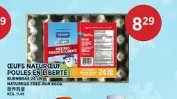 Kim Phat ŒUFS NATURŒUF POULES EN LIBERTÉ BURNBRAE offer