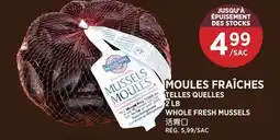 Kim Phat MUSSEL KING WHOLE FRESH MUSSELS offer