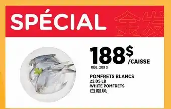 Kim Phat WHITE POMFRETS offer