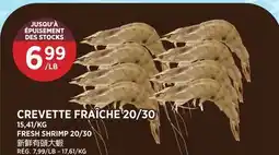 Kim Phat FRESH SHRIMP 20/30 offer