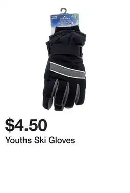 Dollarama Youths Ski Gloves offer