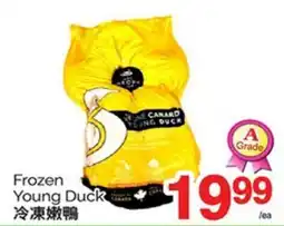 T&T Supermarket FROZEN YOUNG DUCK offer
