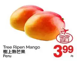 T&T Supermarket TREE RIPEN MANGO offer