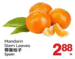 T&T Supermarket Mandarin Stem Leaves offer