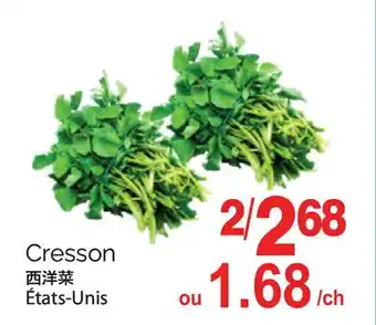 T&T Supermarket CRESSON offer