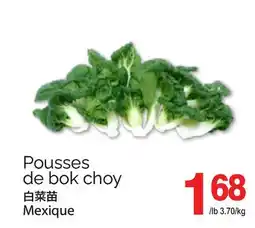 T&T Supermarket POUSSES DE BOK CHOY offer