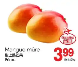 T&T Supermarket MANGUE MÛRE offer