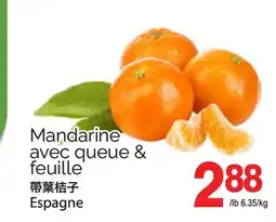 T&T Supermarket MANDARINE AVEC QUEUE & FEUILLE offer