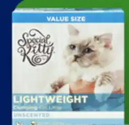 Walmart Lightweight cat litter offer