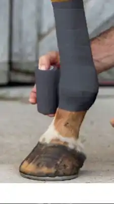 Home Hardware Axis Support Bandag offer