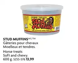 Home Hardware Horse treatSofts and chewy offer