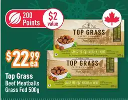 Healthy Planet Top Grass Beef Meatballs Grass Fed offer