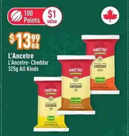 Healthy Planet L'Ancetre Cheddar offer