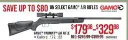 Cabela's GAMO VARMINT AIR RIFLE offer