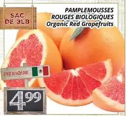 Supermarché PA PAMPLEMOUSSES ROUGES BIOLOGIQUES | Organic Red Grapefruits offer